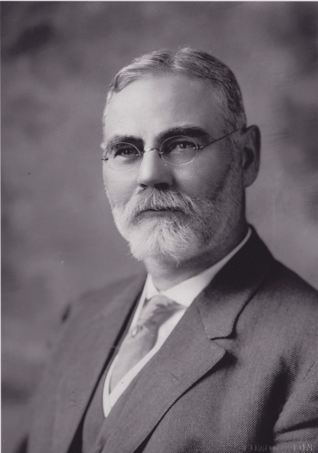 James R. Mann – Woodrow Wilson: The Light Withdrawn